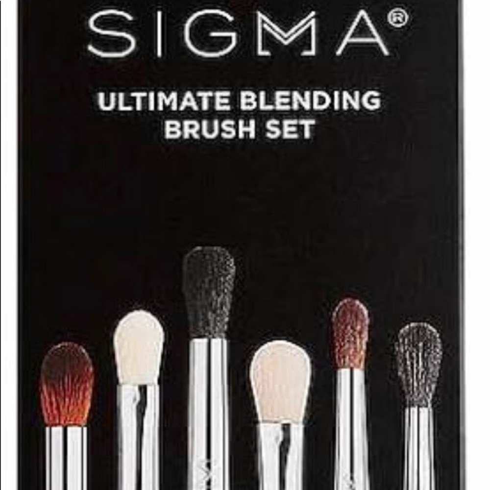 Sigma Blending Brush Set
